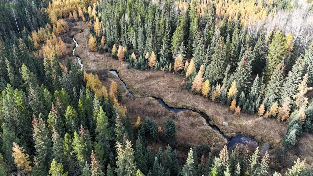 7 Bench Creek Estate Edson AB T7E 0B3