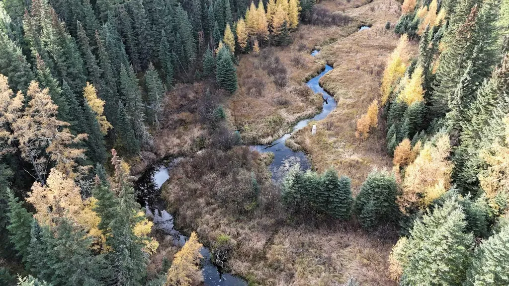 7 Bench Creek Estate Edson AB T7E 0B3