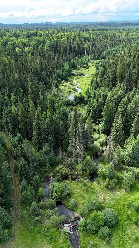 7 Bench Creek Estate Edson AB T7E 0B3
