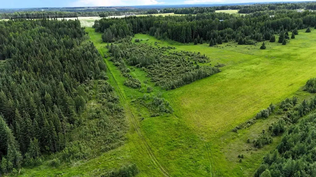 7 Bench Creek Estate Edson AB T7E 0B3