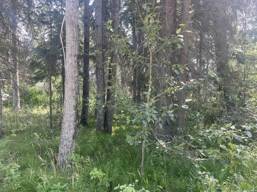 Lot 804 Brightsand Crescent Brightsand Lake SK S0M 0H0