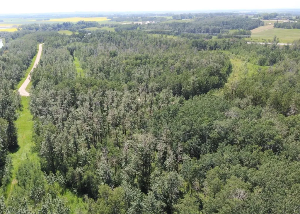 5650 Lakeside Way Innisfail AB T4G 0H4