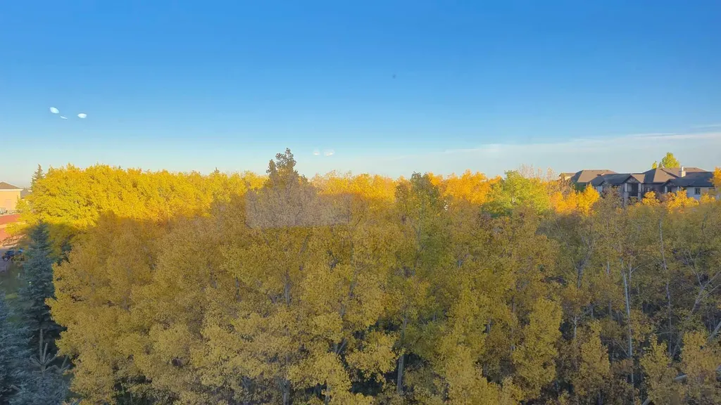 16969 24 Street SW Calgary AB T2Y0L2