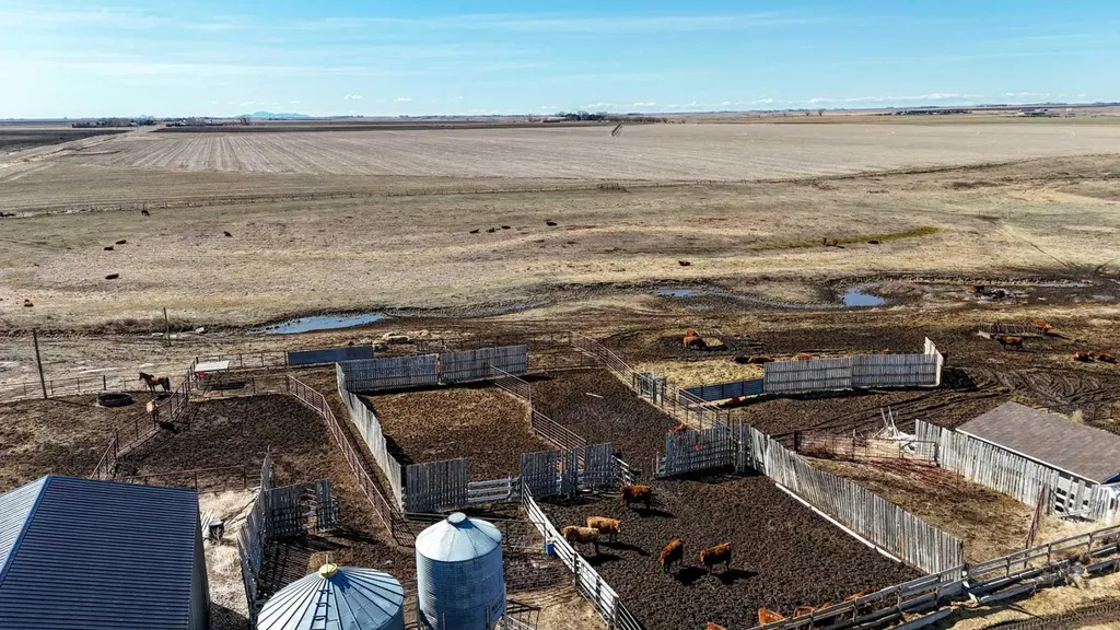 95012 Range Road 105 Rural Forty Mile No. 8 County Of AB T0K 0G0