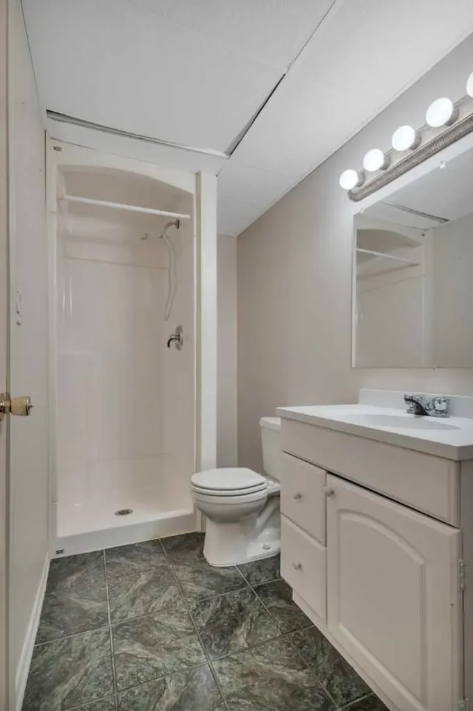 6 Jenkins Drive Red Deer AB T4P 3X1