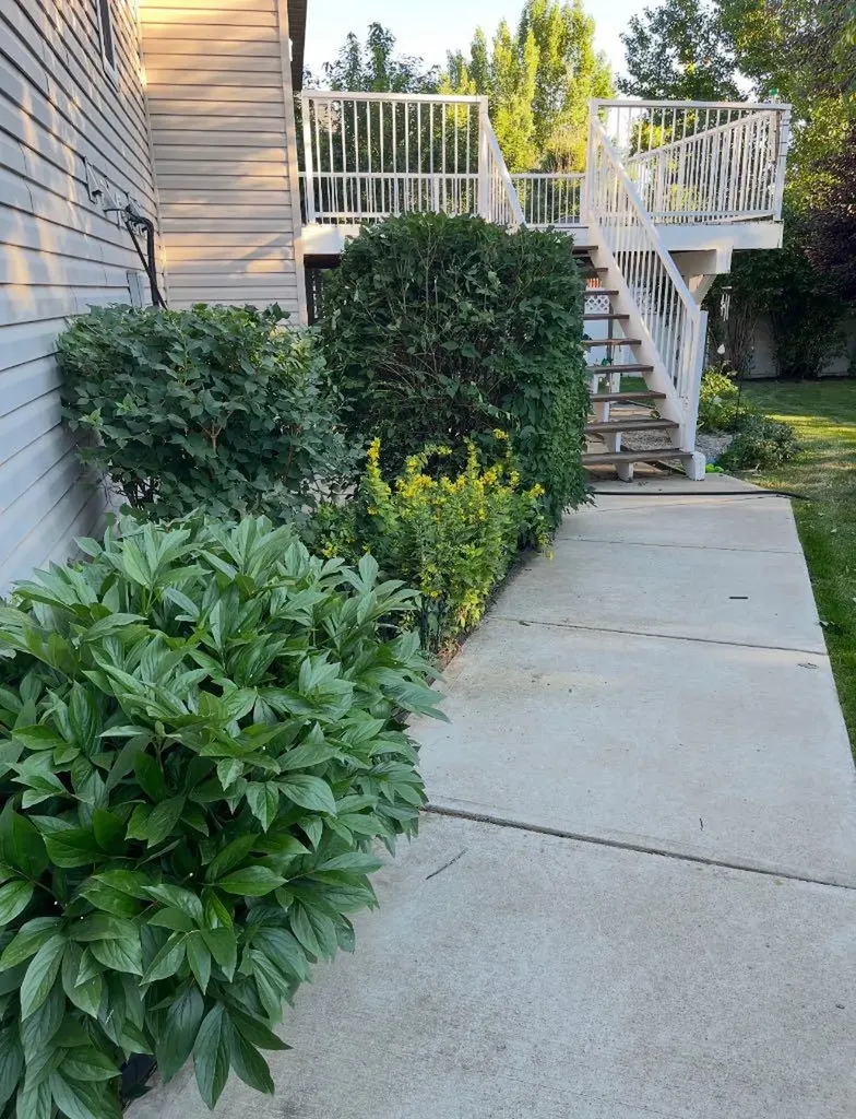99 Greystone Close Brooks AB T1R1M1