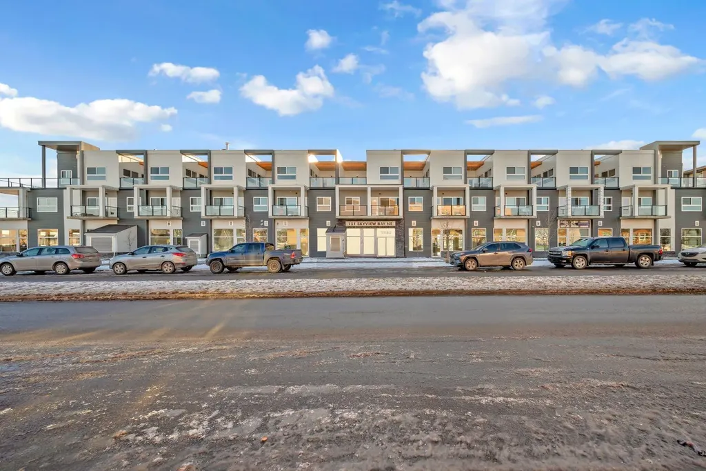 151 Skyview Bay NE Calgary AB T3N 1B6