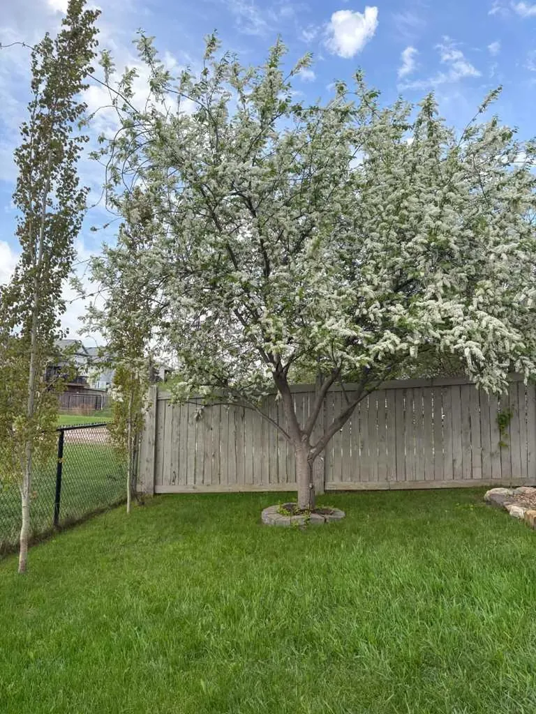 362 Pacific Crescent Fort Mcmurray AB T9K 0G5