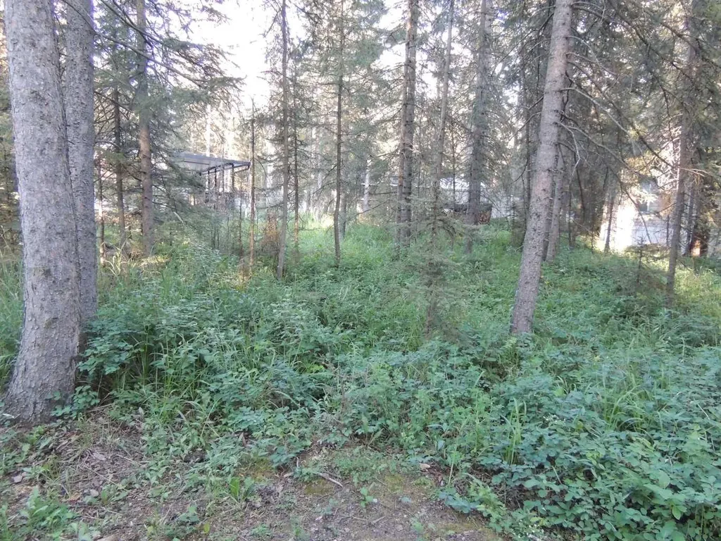 9 Timber Trail Sundre AB T0M 1X0