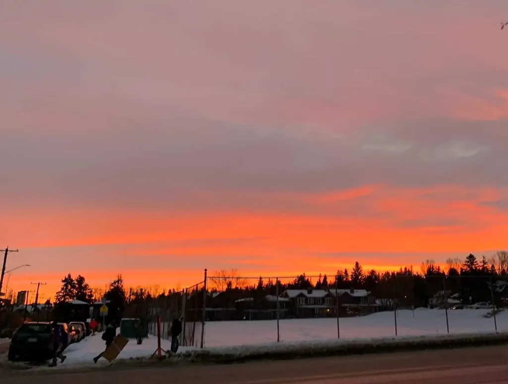 2203 14 Street SW Calgary AB T2T3T2