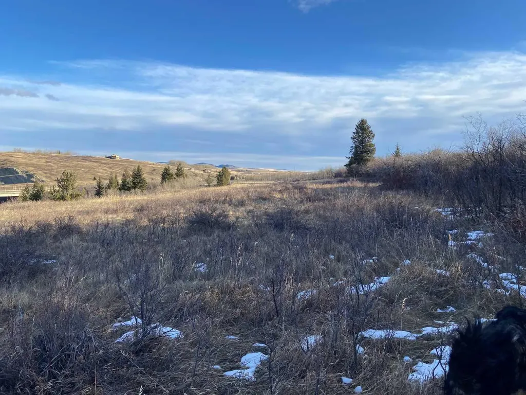 6 Rustler's Ridge Rural Pincher Creek No. 9 M.d. Of AB T0K 1W0