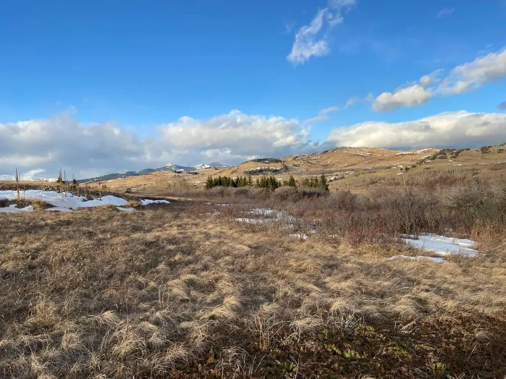 6 Rustler's Ridge Rural Pincher Creek No. 9 M.d. Of AB T0K 1W0