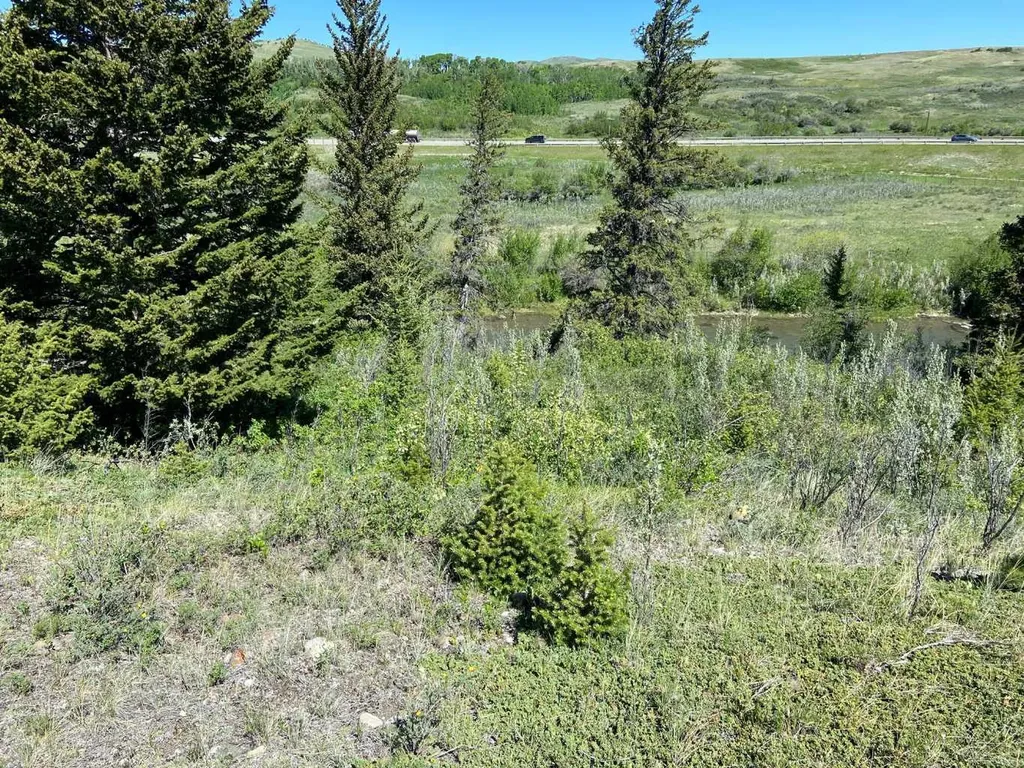 6 Rustler's Ridge Rural Pincher Creek No. 9 M.d. Of AB T0K 1W0