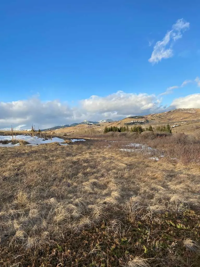6 Rustler's Ridge Rural Pincher Creek No. 9 M.d. Of AB T0K 1W0