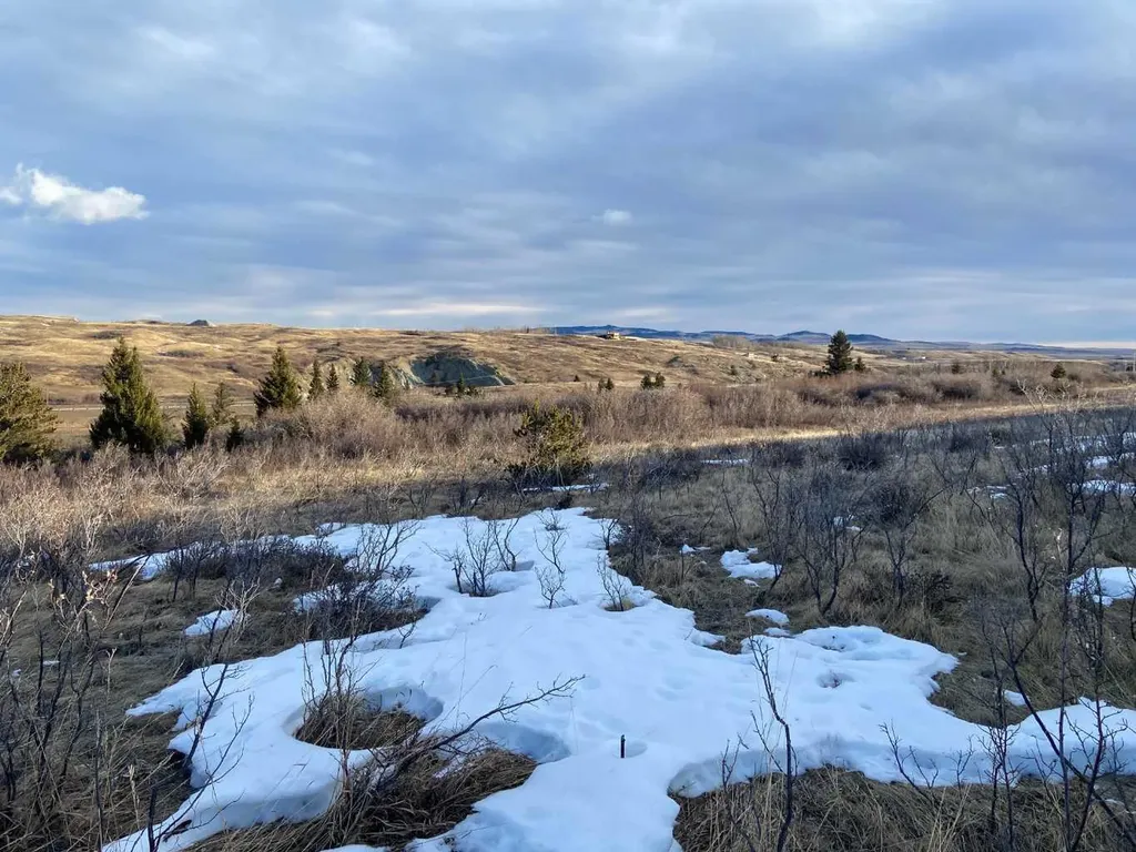 6 Rustler's Ridge Rural Pincher Creek No. 9 M.d. Of AB T0K 1W0