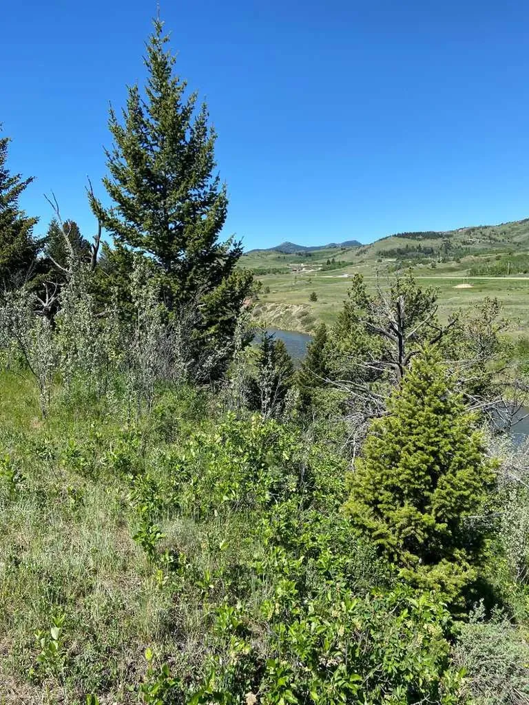 6 Rustler's Ridge Rural Pincher Creek No. 9 M.d. Of AB T0K 1W0