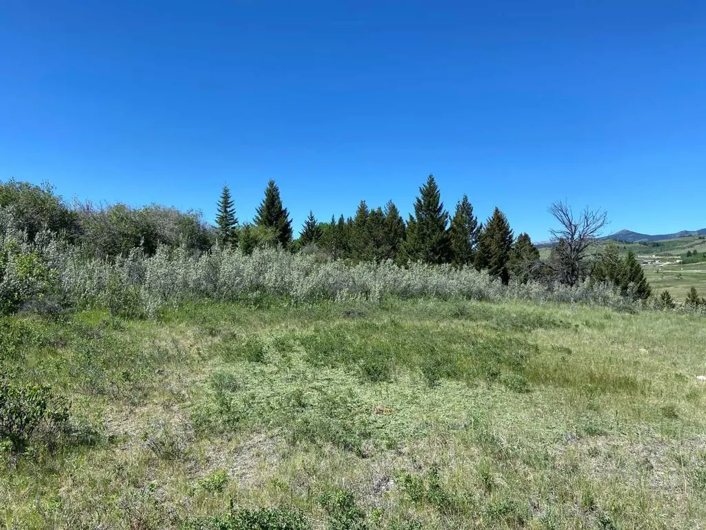 6 Rustler's Ridge Rural Pincher Creek No. 9 M.d. Of AB T0K 1W0