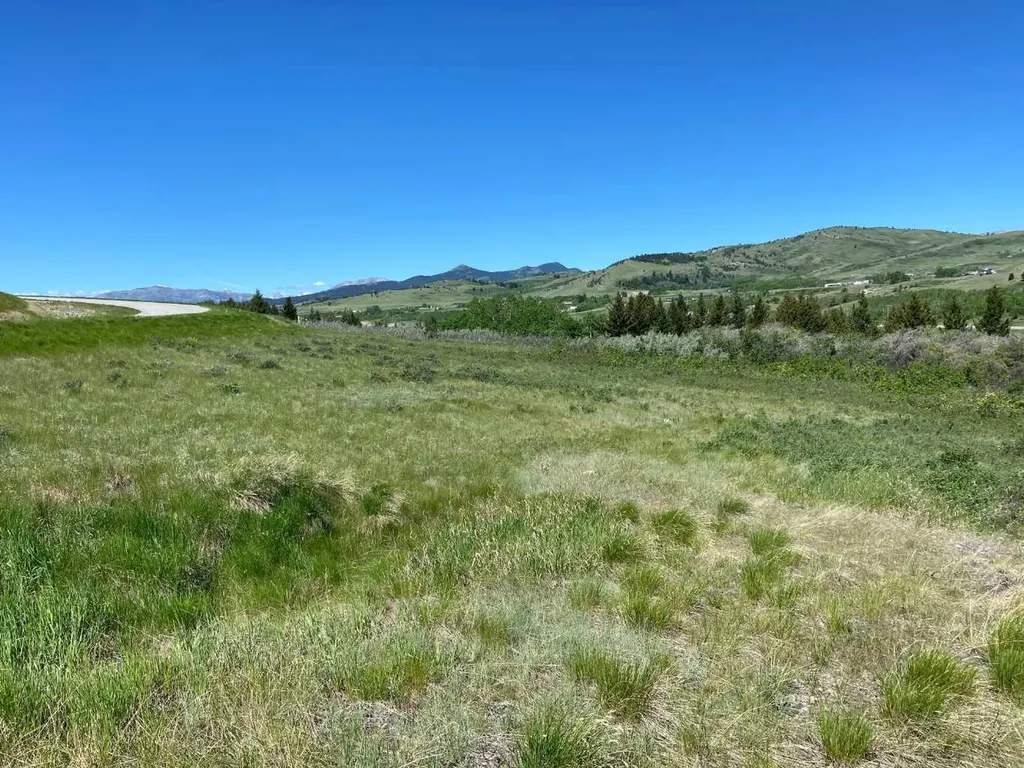 6 Rustler's Ridge Rural Pincher Creek No. 9 M.d. Of AB T0K 1W0