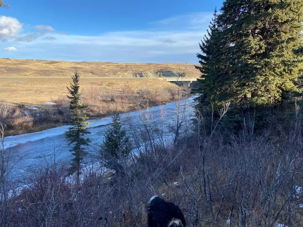 6 Rustler's Ridge Rural Pincher Creek No. 9 M.d. Of AB T0K 1W0