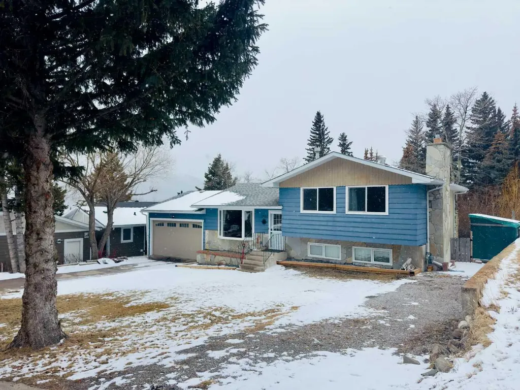 2802 77 Street Coleman AB T0K0M0