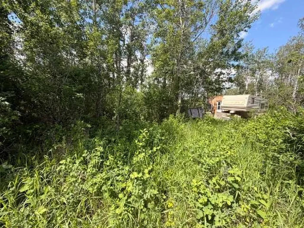 5325 48 Avenue Hardisty AB T0B 1V0