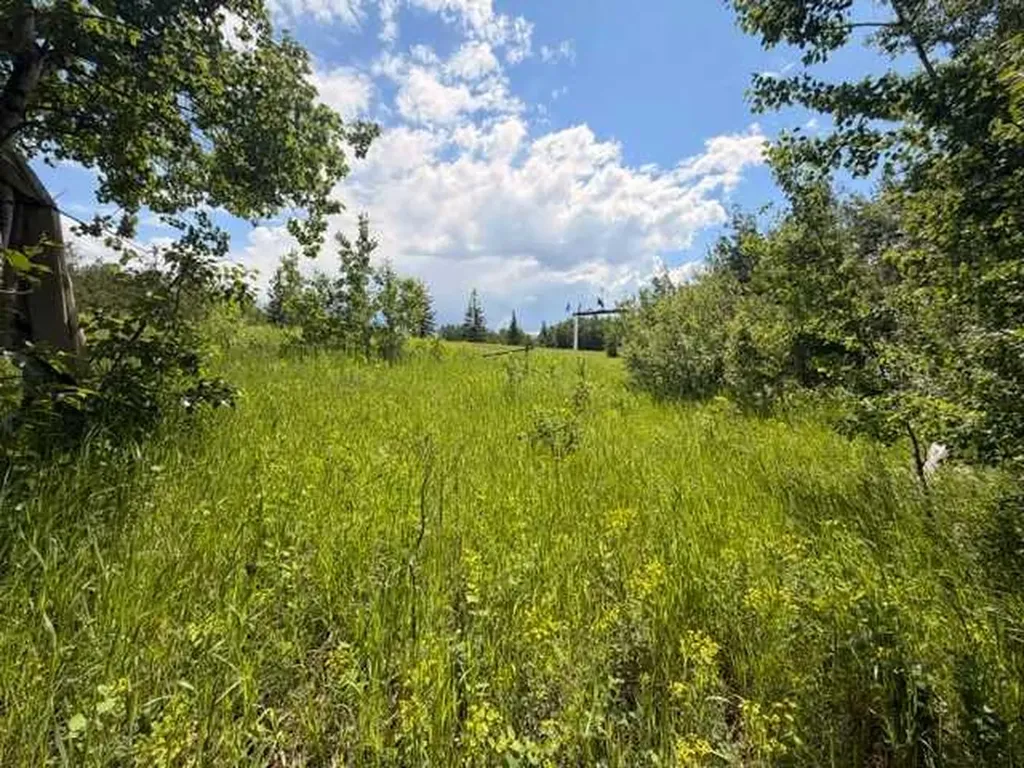 5325 48 Avenue Hardisty AB T0B 1V0