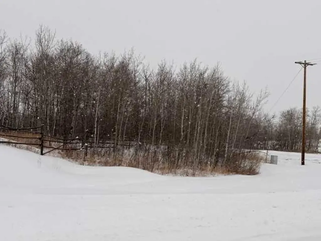 5325 48 Avenue Hardisty AB T0B 1V0