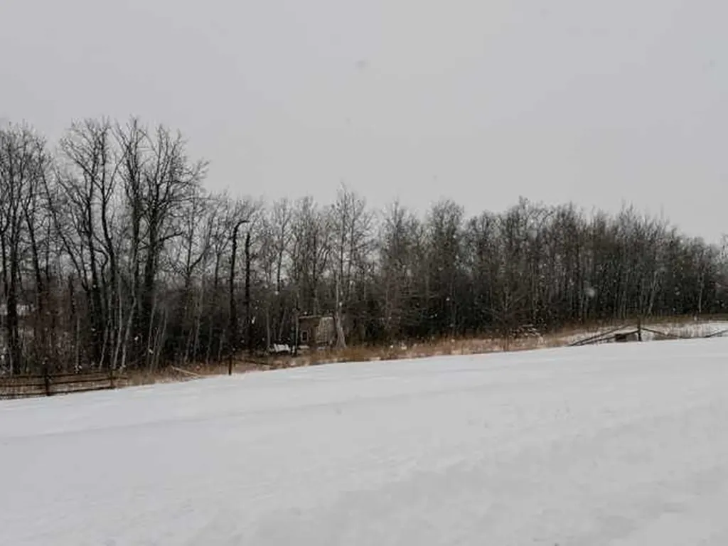 5325 48 Avenue Hardisty AB T0B 1V0