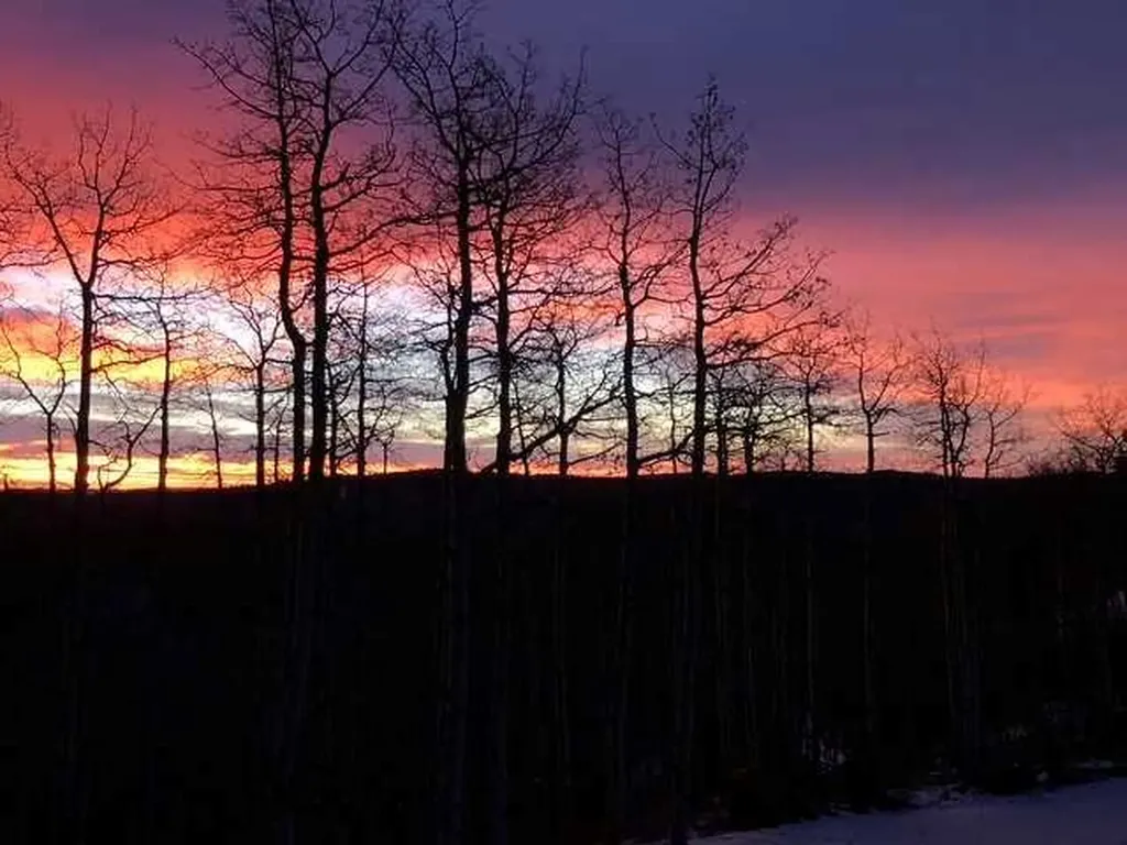 368191 184 Avenue W Rural Foothills County AB T0L 1K0