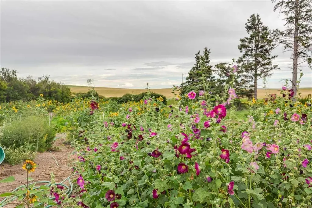 334078 Range Road 241 Rural Kneehill County AB T0M 2C0