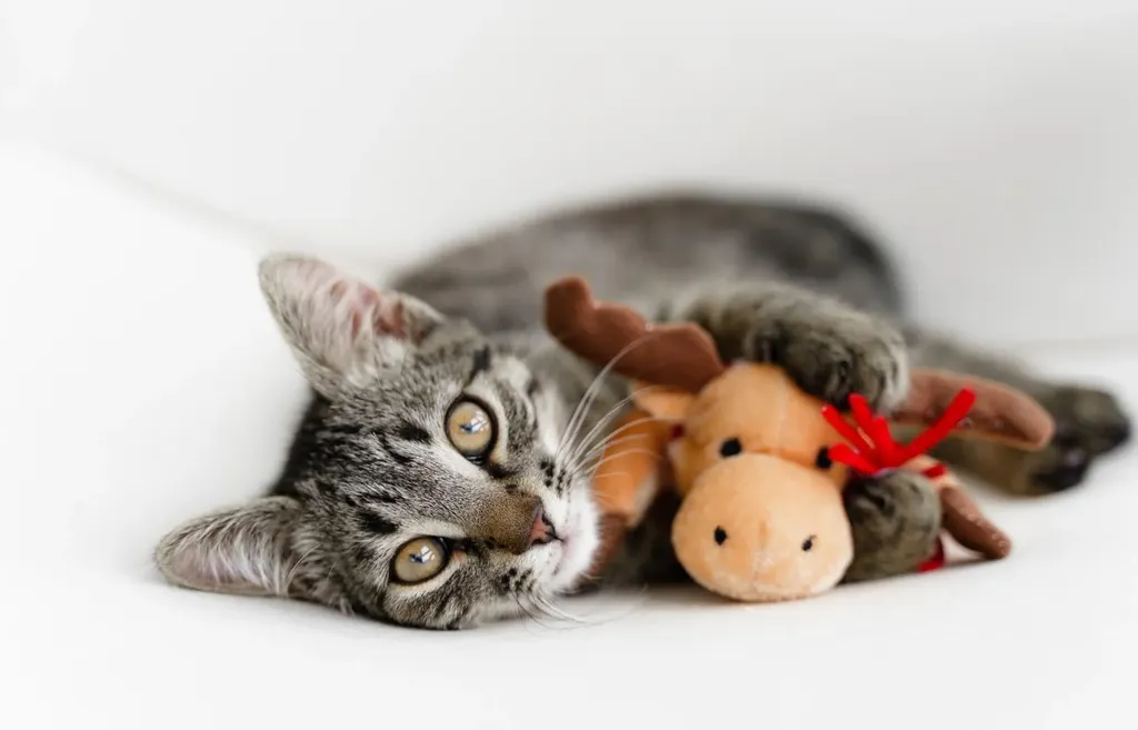 123 Pet Store Way Edmonton AB T5G 3E5