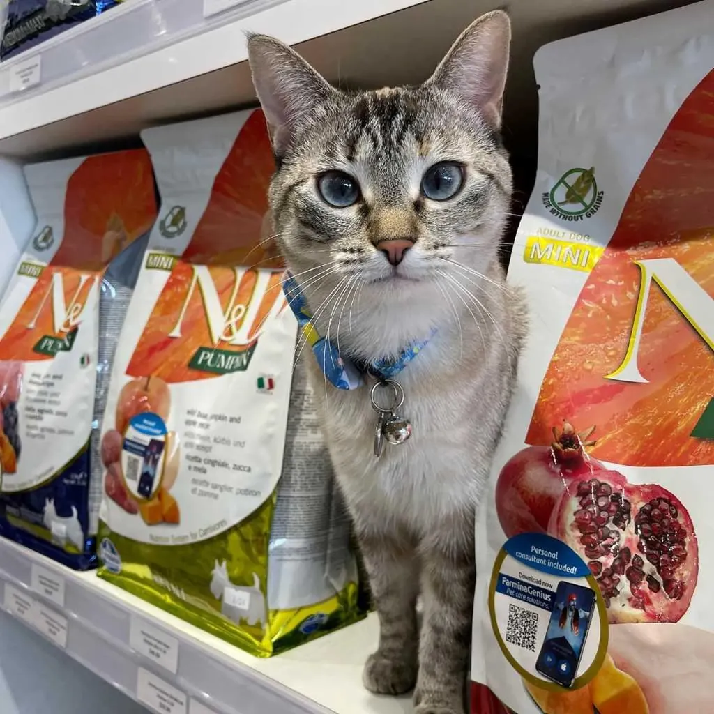 123 Pet Store Way Edmonton AB T5G 3E5