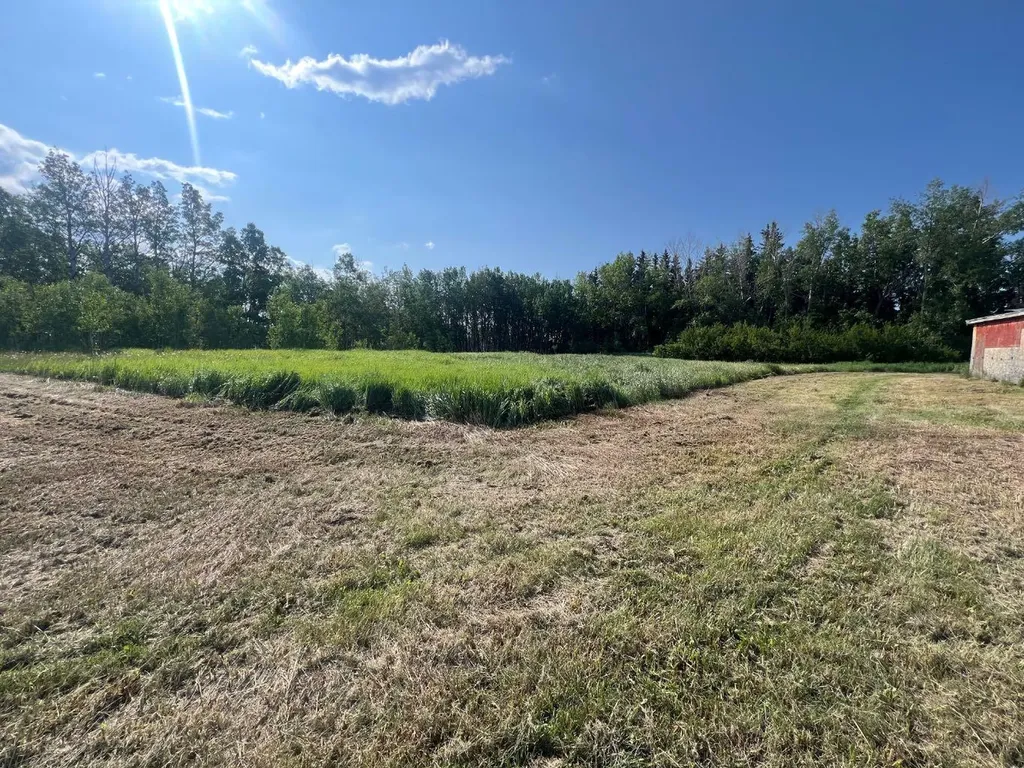 30308 Rr50 Rural Mountain View County AB T0M0R0