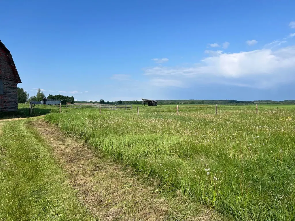 30308 Rr50 Rural Mountain View County AB T0M0R0