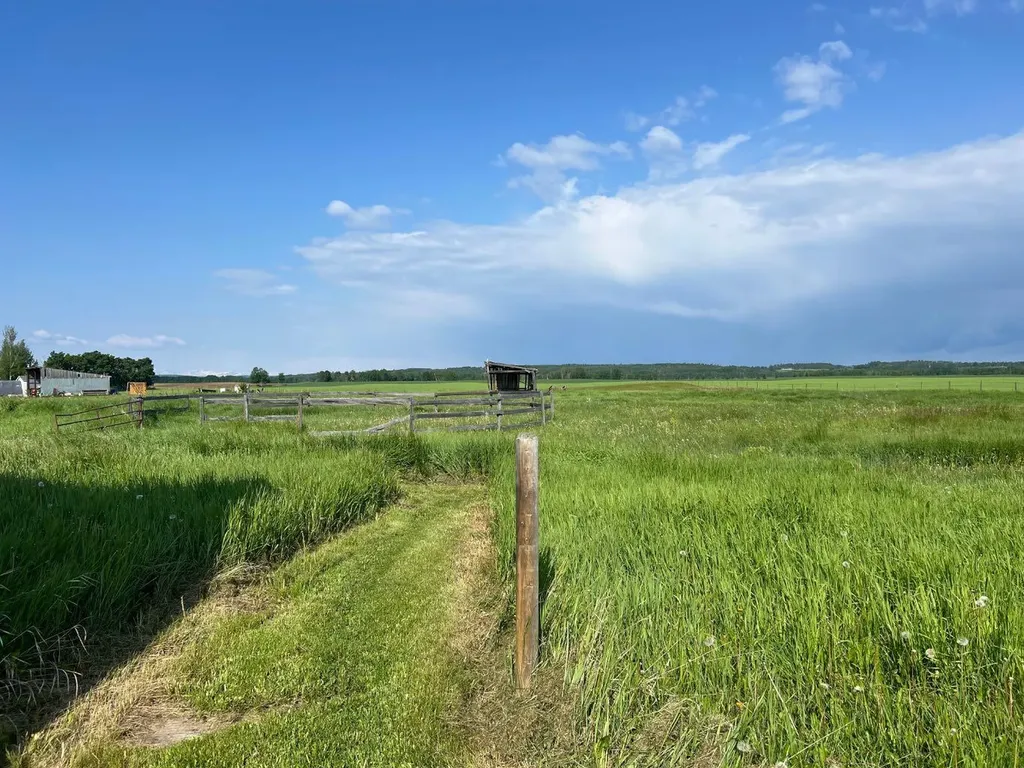 30308 Rr50 Rural Mountain View County AB T0M0R0