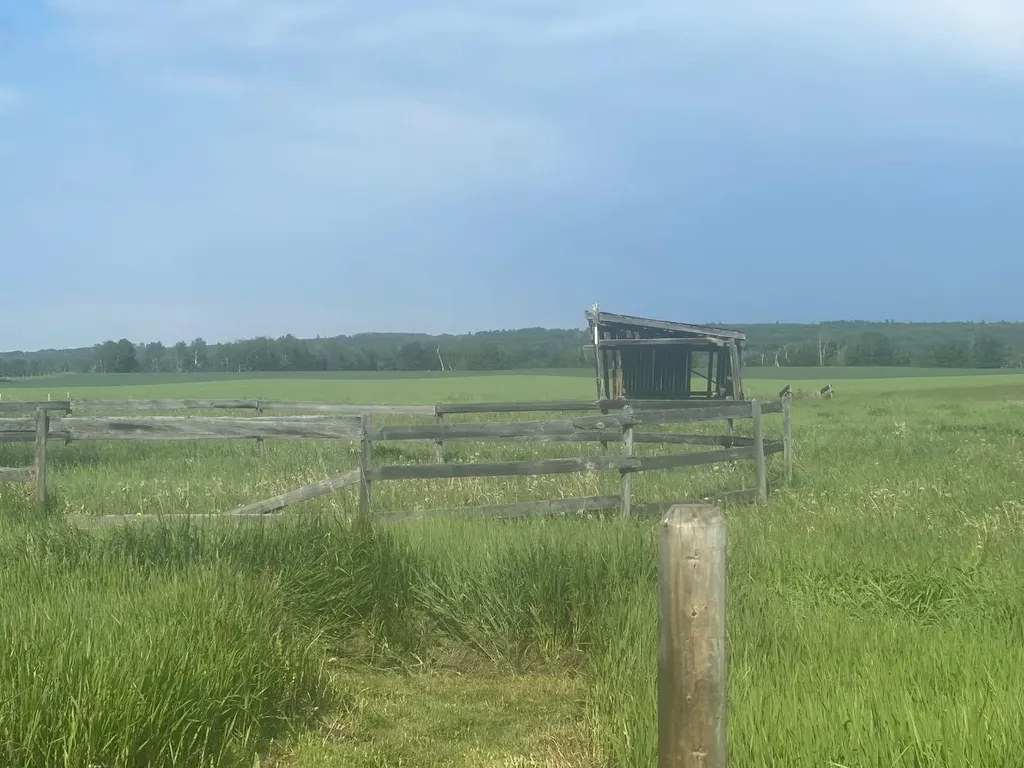 30308 Rr50 Rural Mountain View County AB T0M0R0