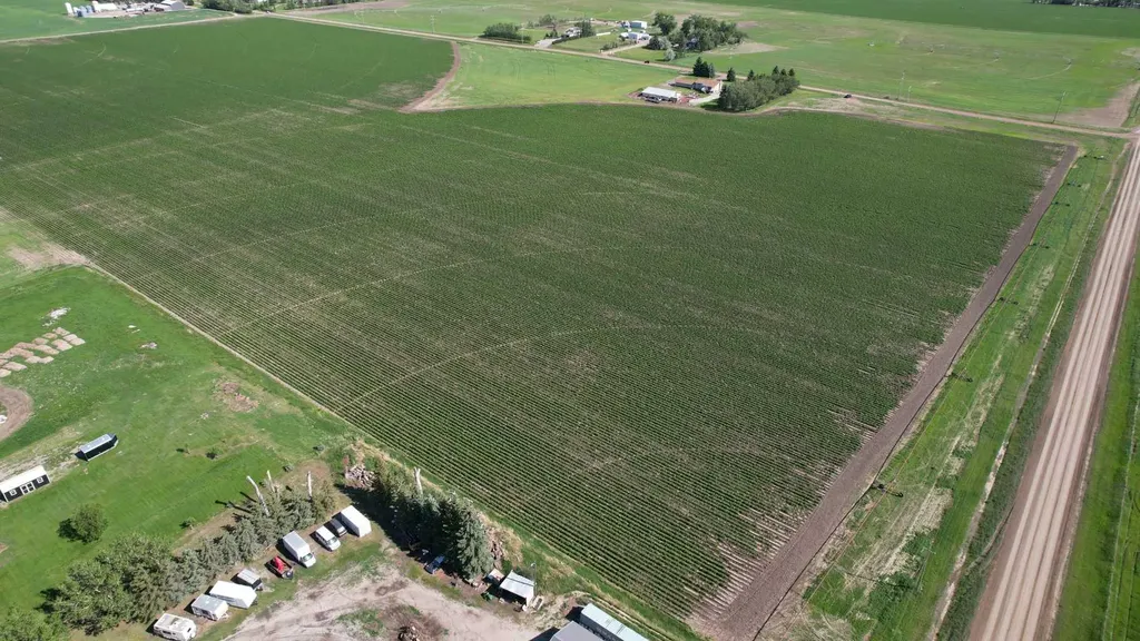 212072 Twp Road 9-4 Rural Lethbridge County AB T1J5R2