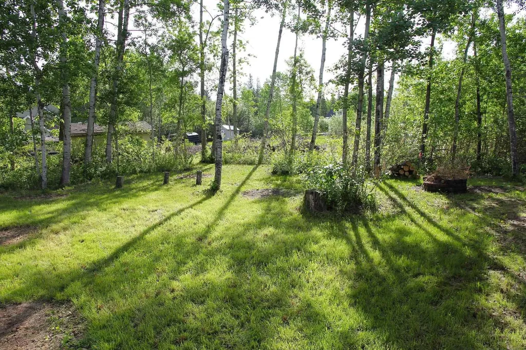 1028 Birch Place Turtle Lake SK S0M 1J0