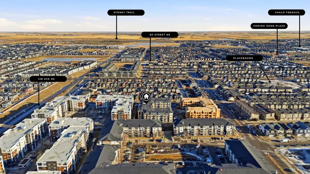 15 Skyview Point Crescent NE Calgary AB T3N 2T1
