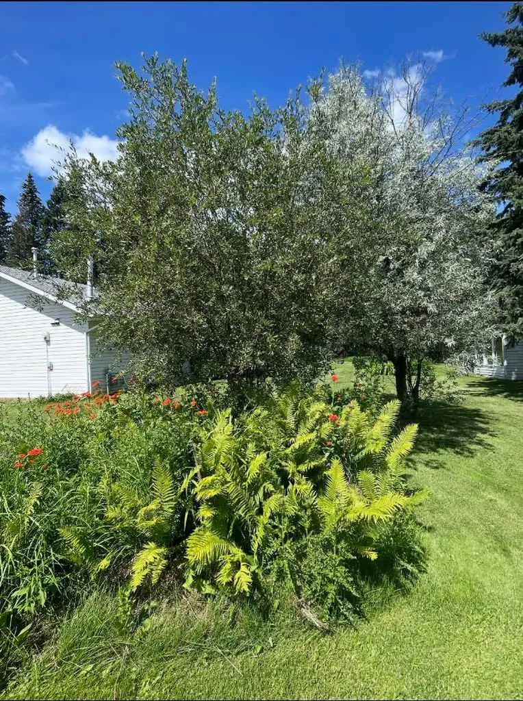 87, 231054 Township Road 623a Rural Athabasca County AB T0G 1Z0
