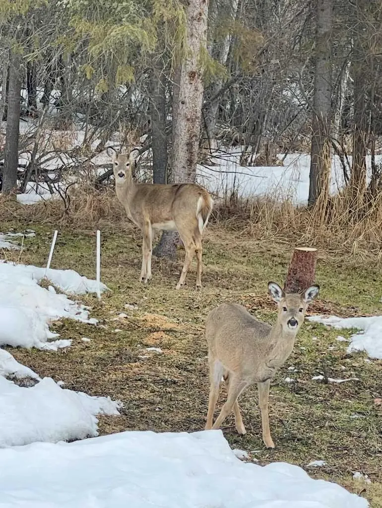 87, 231054 Township Road 623a Rural Athabasca County AB T0G 1Z0