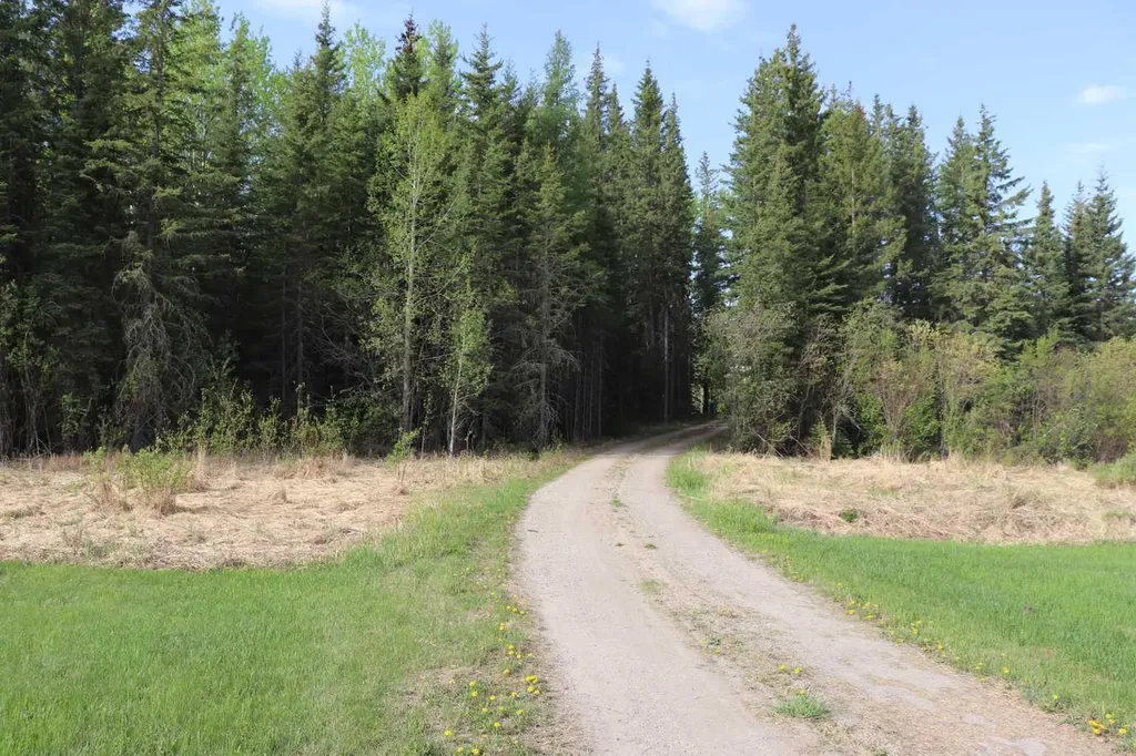 54019C Range Road 165 Rural Yellowhead County AB T7E 3N1