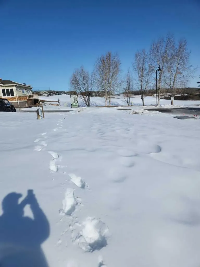 25054 South Pine Lake Road Rural Red Deer County AB T0M 1S0