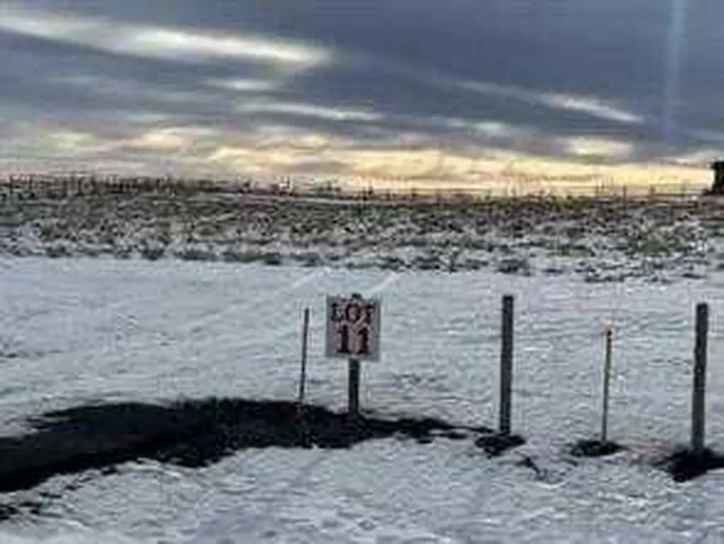 48103 295 Avenue E De Winton AB T0L 0X0