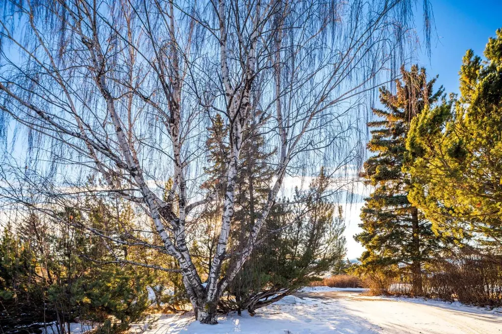 187 Slopeview Drive SW Calgary AB T3H 4G6