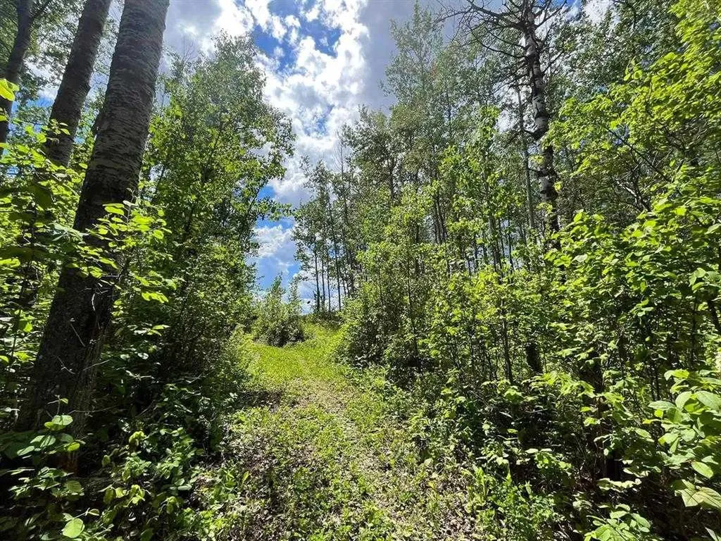 10 15023 Highway 55 Lac La Biche AB T0A2C0