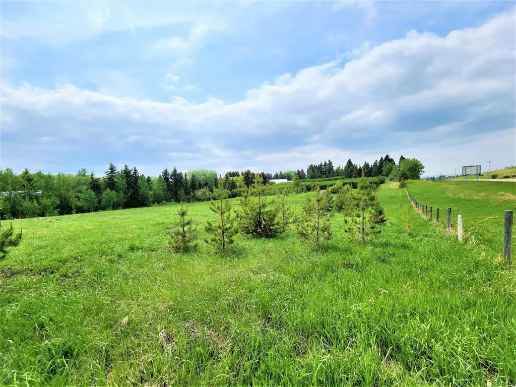 Lot 24, 26553 11 Highway Rural Red Deer County AB T4E 1A5