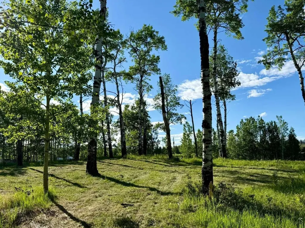 5228 Highway 579 Rural Mountain View County AB T0M 2E0