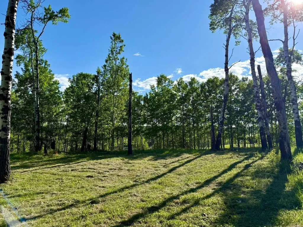 5228 Highway 579 Rural Mountain View County AB T0M 2E0