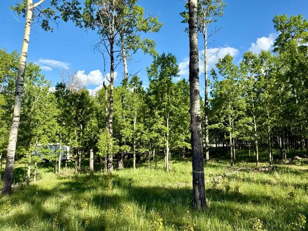 5228 Highway 579 Rural Mountain View County AB T0M 2E0